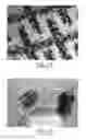 Fig. 11 - BREATH AND BREATH CONDENSATE ANALYSIS SYSTEM AND ASSOCIATED METHODS