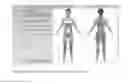 Fig. 23 - Preempt Muscle Map Screen