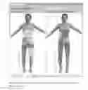 Fig. 26 - Preempt Muscle Map Screen
