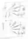 Fig. 08 - Locomotion assisting device and method