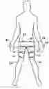 Fig. 01 - Suprapatellar external counterpulsation apparatus