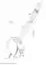 Fig. 11 - Device for at least one of injection or aspiration