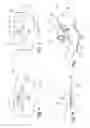 Fig. 05 - Sanitary apparatus for intestinal cleansing