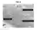Fig. 10 - Activation of bone and cartilage formation