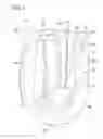 Fig. 02 - Personal wear absorbent article with disposal tab