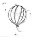 Fig. 04 - Balloon catheter with flexible electrode assemblies