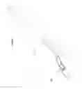 Fig. 03 - Insertion system for corneal implants