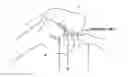 Fig. 01 - Method and system for cutting knee joint using robot