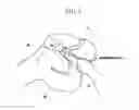 Fig. 04 - Method and system for cutting knee joint using robot