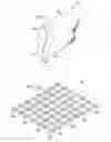 Fig. 02 - EXFOLIATING PILLOW