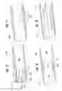 Fig. 10 - Biological unit removal tools with concentric tubes
