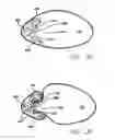 Fig. 49 - Single fold device for tissue fixation