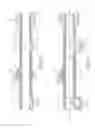 Fig. 24 - Rotational device with inflatable support elements and torque transmitting membrane