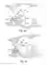 Fig. 11 - Devices and methods for altering eating behavior