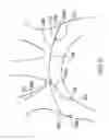 Fig. 03 - DEVICE AND METHOD FOR VASCULAR FILTER