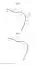 Fig. 04 - Surgical instruments