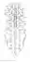 Fig. 01 - METHODS AND SYSTEMS FOR CONSTRAINT OF MULTIPLE SPINE SEGMENTS