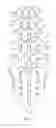 Fig. 02 - METHODS AND SYSTEMS FOR CONSTRAINT OF MULTIPLE SPINE SEGMENTS