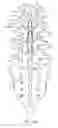 Fig. 06 - METHODS AND SYSTEMS FOR CONSTRAINT OF MULTIPLE SPINE SEGMENTS