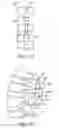 Fig. 09 - METHODS AND SYSTEMS FOR CONSTRAINT OF MULTIPLE SPINE SEGMENTS