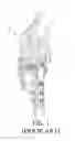 Fig. 02 - Bone plate structure