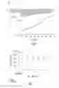 Fig. 06 - Baroreflex stimulation synchronized to circadian rhythm