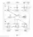 Fig. 09 - Baroreflex stimulation synchronized to circadian rhythm