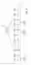 Fig. 10 - Fully inhibited dual chamber pacing mode