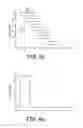 Fig. 04 - Ophthalmoscope including virtual position patterning for therapy beam application