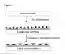 Fig. 06 - Medical electrical lead having biological surface and methods of making and using same