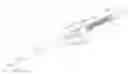 Fig. 01 - Stent deployment system with integrated digital camera and dilation balloon