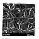 Fig. 01 - NONWOVEN TISSUE SCAFFOLD
