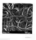 Fig. 02 - NONWOVEN TISSUE SCAFFOLD