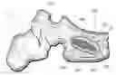 Fig. 01 - Systems and methods for treating conditions and diseases of the spine