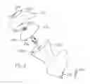 Fig. 04 - SOCKET AND PROSTHESIS FOR JOINT REPLACEMENT
