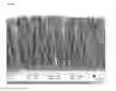 Fig. 02 - BIODEGRADABLE SCAFFOLD FOR SOFT TISSUE REGENERATION AND USE THEREOF