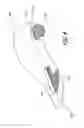Fig. 08 - FUNCTIONAL FOOT COVER