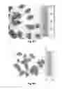 Fig. 07 - System and method for inspecting and sorting particles and process for qualifying the same with seed particles