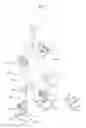 Fig. 03 - Walking robot and control method thereof