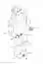 Fig. 01 - Walking robot and control method thereof