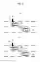Fig. 16 - Vehicle driving assistant and vehicle driving assisting method