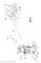 Fig. 15 - Semi-active snowmobile rear suspension