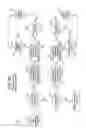 Fig. 13 - Methods for Optimizing Gradients in Liquid Chromatography Systems