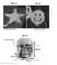 Fig. 03 - Method and apparatus for controlling properties of nucleic acid nanostructures