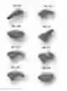 Fig. 17 - Method and apparatus for controlling properties of nucleic acid nanostructures