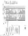 Fig. 02 - Method and system for automatic transcription prioritization