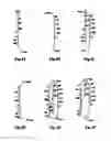 Fig. 06 - Converting partial word lists into a phoneme tree for speech recognition