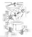 Fig. 01 - Invoking tapered prompts in a multimodal application