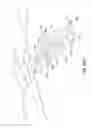 Fig. 07 - Device including authentication glyph
