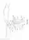 Fig. 08 - Device including authentication glyph